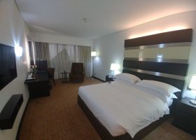 Dubai International Airport Hotel